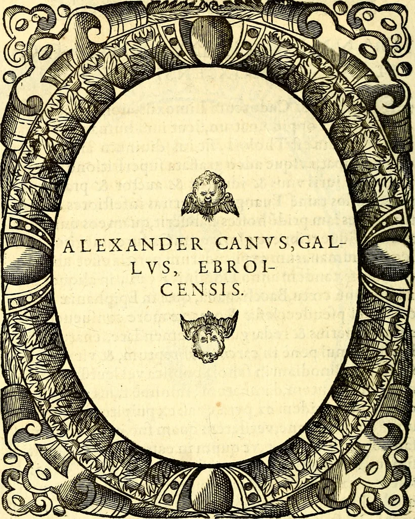 An illustration from Icones, id est verae imagines virorum doctrina simul et pietate illustrium, quorum praecipuè ministerio partim bonarum literarum studia sunt restituta, partim vera religio in variis orbis Christiani regionibus, nostra patrúmque memoria fuit instaurata: additis eorundem vitae & operae descriptionibus, quibus adiectae sunt nonnullae picturae quas emblemata vocant, 1580, leaf 197