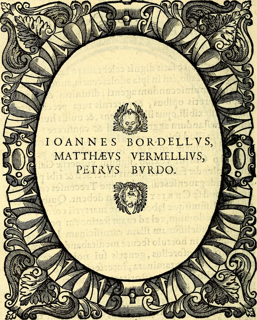 An illustration from Icones, id est verae imagines virorum doctrina simul et pietate illustrium, quorum praecipuè ministerio partim bonarum literarum studia sunt restituta, partim vera religio in variis orbis Christiani regionibus, nostra patrúmque memoria fuit instaurata: additis eorundem vitae & operae descriptionibus, quibus adiectae sunt nonnullae picturae quas emblemata vocant, 1580, leaf 201