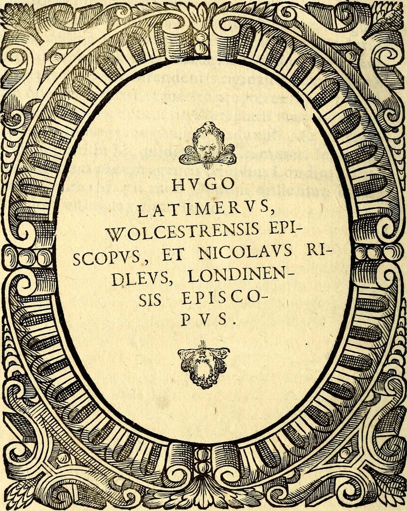 An illustration from Icones, id est verae imagines virorum doctrina simul et pietate illustrium, quorum praecipuè ministerio partim bonarum literarum studia sunt restituta, partim vera religio in variis orbis Christiani regionibus, nostra patrúmque memoria fuit instaurata: additis eorundem vitae & operae descriptionibus, quibus adiectae sunt nonnullae picturae quas emblemata vocant, 1580, leaf 225