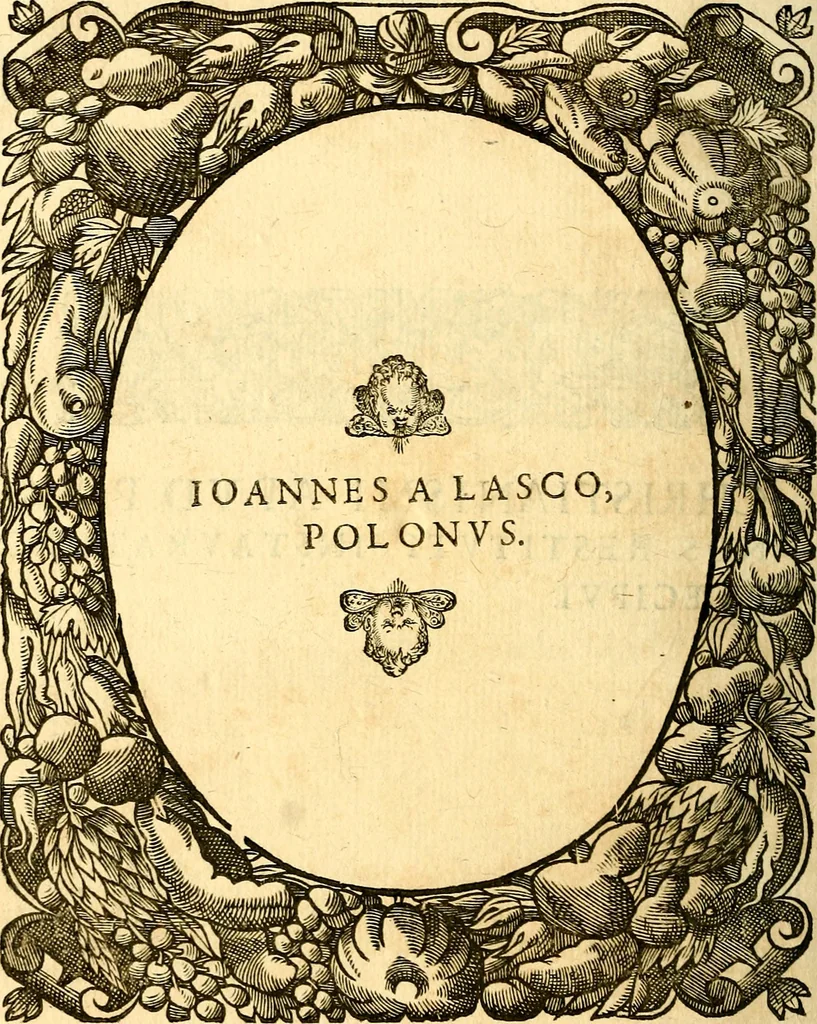 An illustration from Icones, id est verae imagines virorum doctrina simul et pietate illustrium, quorum praecipuè ministerio partim bonarum literarum studia sunt restituta, partim vera religio in variis orbis Christiani regionibus, nostra patrúmque memoria fuit instaurata: additis eorundem vitae & operae descriptionibus, quibus adiectae sunt nonnullae picturae quas emblemata vocant, 1580, leaf 249
