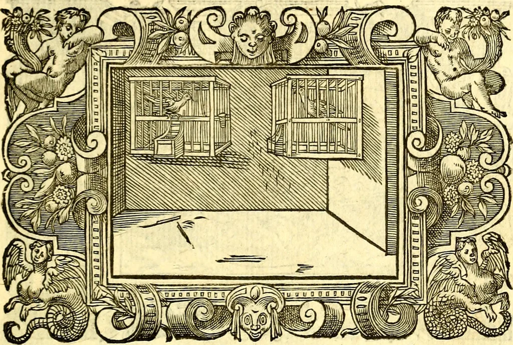 An illustration from Icones, id est verae imagines virorum doctrina simul et pietate illustrium, quorum praecipuè ministerio partim bonarum literarum studia sunt restituta, partim vera religio in variis orbis Christiani regionibus, nostra patrúmque memoria fuit instaurata: additis eorundem vitae & operae descriptionibus, quibus adiectae sunt nonnullae picturae quas emblemata vocant, 1580, leaf 288
