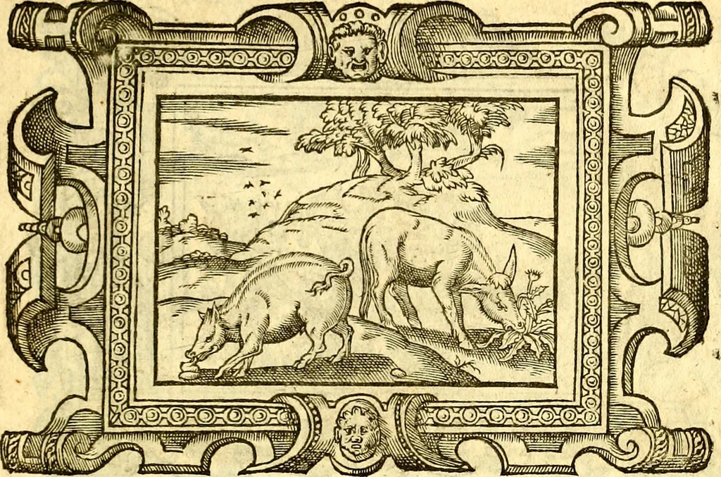 An illustration from Icones, id est verae imagines virorum doctrina simul et pietate illustrium, quorum praecipuè ministerio partim bonarum literarum studia sunt restituta, partim vera religio in variis orbis Christiani regionibus, nostra patrúmque memoria fuit instaurata: additis eorundem vitae & operae descriptionibus, quibus adiectae sunt nonnullae picturae quas emblemata vocant, 1580, leaf 306