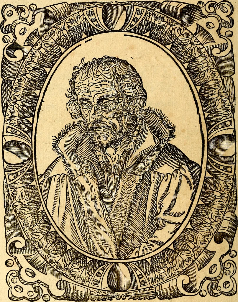 An illustration from Icones, id est verae imagines virorum doctrina simul et pietate illustrium, quorum praecipuè ministerio partim bonarum literarum studia sunt restituta, partim vera religio in variis orbis Christiani regionibus, nostra patrúmque memoria fuit instaurata: additis eorundem vitae & operae descriptionibus, quibus adiectae sunt nonnullae picturae quas emblemata vocant, 1580, leaf 37