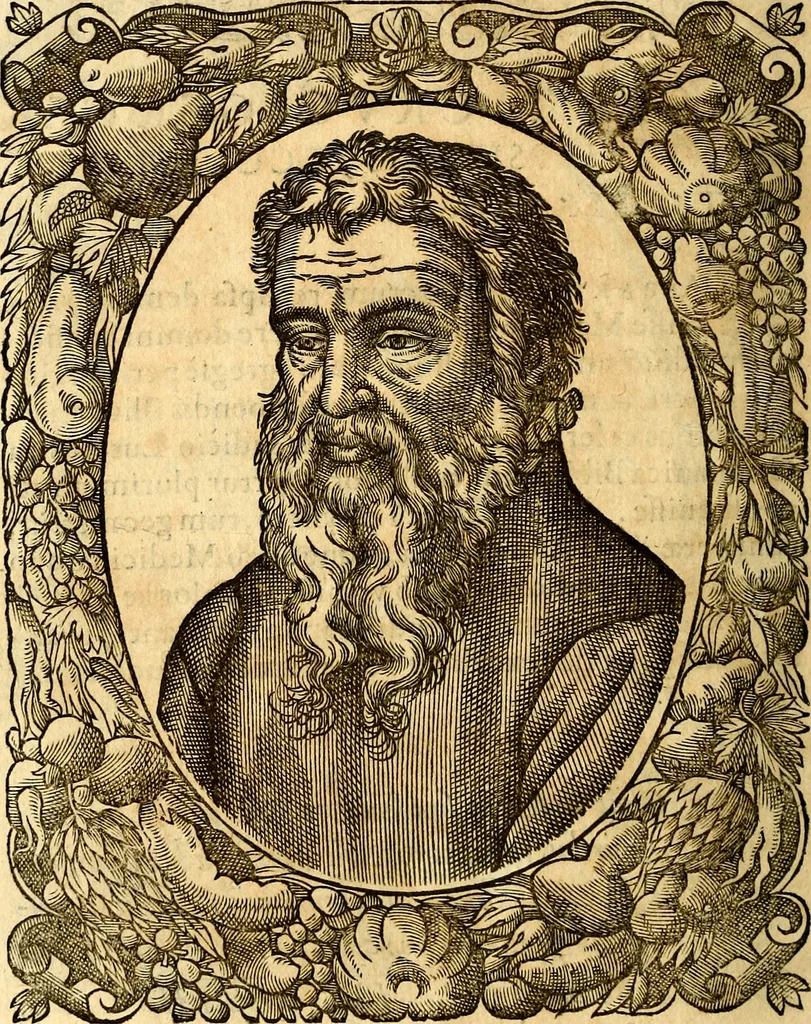 An illustration from Icones, id est verae imagines virorum doctrina simul et pietate illustrium, quorum praecipuè ministerio partim bonarum literarum studia sunt restituta, partim vera religio in variis orbis Christiani regionibus, nostra patrúmque memoria fuit instaurata: additis eorundem vitae & operae descriptionibus, quibus adiectae sunt nonnullae picturae quas emblemata vocant, 1580, leaf 51