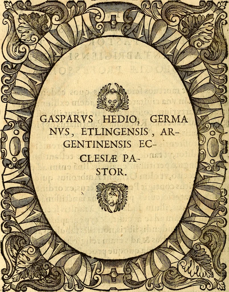 An illustration from Icones, id est verae imagines virorum doctrina simul et pietate illustrium, quorum praecipuè ministerio partim bonarum literarum studia sunt restituta, partim vera religio in variis orbis Christiani regionibus, nostra patrúmque memoria fuit instaurata: additis eorundem vitae & operae descriptionibus, quibus adiectae sunt nonnullae picturae quas emblemata vocant, 1580, leaf 65
