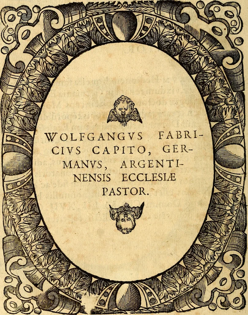 An illustration from Icones, id est verae imagines virorum doctrina simul et pietate illustrium, quorum praecipuè ministerio partim bonarum literarum studia sunt restituta, partim vera religio in variis orbis Christiani regionibus, nostra patrúmque memoria fuit instaurata: additis eorundem vitae & operae descriptionibus, quibus adiectae sunt nonnullae picturae quas emblemata vocant, 1580, leaf 67