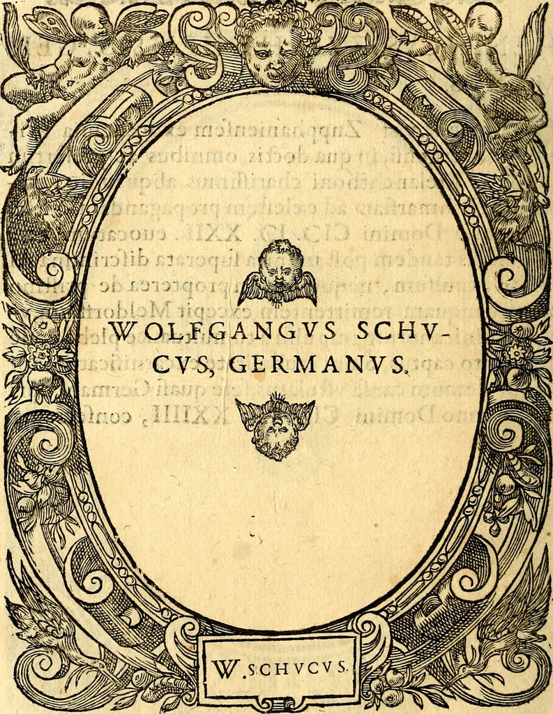 An illustration from Icones, id est verae imagines virorum doctrina simul et pietate illustrium, quorum praecipuè ministerio partim bonarum literarum studia sunt restituta, partim vera religio in variis orbis Christiani regionibus, nostra patrúmque memoria fuit instaurata: additis eorundem vitae & operae descriptionibus, quibus adiectae sunt nonnullae picturae quas emblemata vocant, 1580, leaf 89