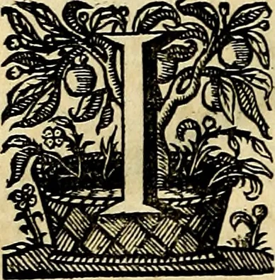 An illustration from Icones imperatorvm romanorvm, ex priscis numismatibus ad viuum delineatae, & breui narratione historicâ, 1645, leaf 439