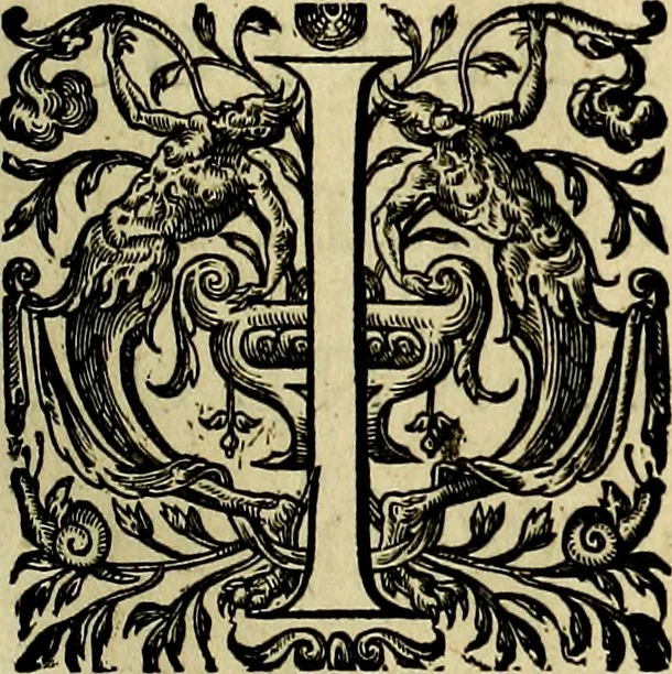 An illustration from Icones imperatorvm romanorvm, ex priscis numismatibus ad viuum delineatae, & breui narratione historicâ, 1645, leaf 8