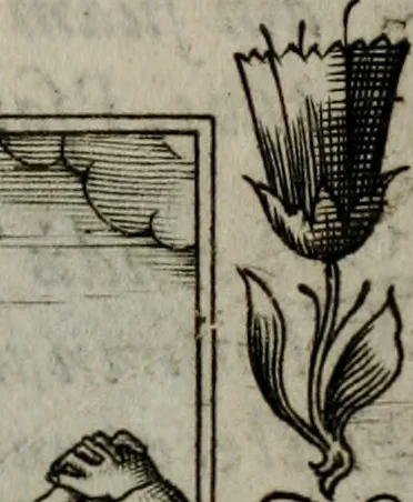An illustration from Icones mortis : sexaginta imaginibus, totidemq[ue], 1648, leaf 112