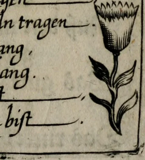 An illustration from Icones mortis : sexaginta imaginibus, totidemq[ue], 1648, leaf 42