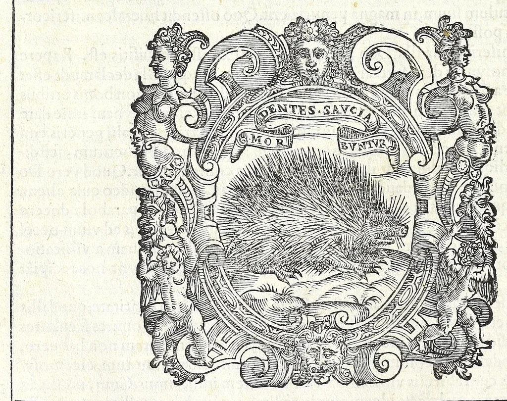 An illustration from Icones opervm misericordiae cvm Ivlii Roscii Hortini sententiis et explicationibvs : pars prior eorvm qvae ad corpvs pertinent, 1586, leaf 142