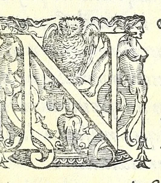 An illustration from Icones opervm misericordiae cvm Ivlii Roscii Hortini sententiis et explicationibvs : pars prior eorvm qvae ad corpvs pertinent, 1586, leaf 79