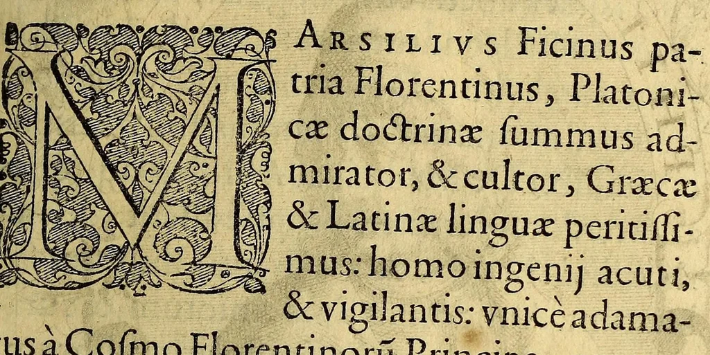 An illustration from Icones quinquaginta virorum illustrium doctrina & eruditione præstantium ad vivum effictæ, : cum eorum vitis, 1597, leaf 159