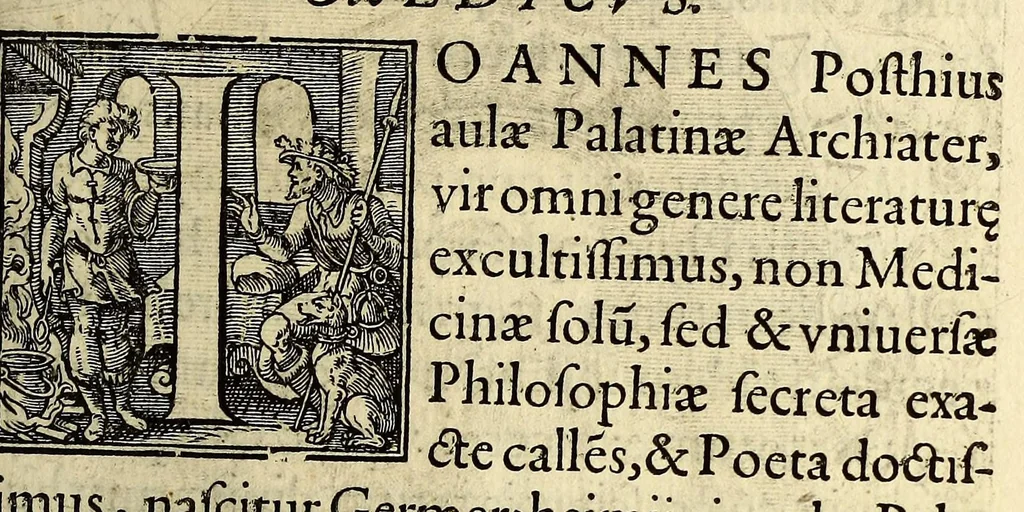 An illustration from Icones quinquaginta virorum illustrium doctrina & eruditione præstantium ad vivum effictæ, : cum eorum vitis, 1597, leaf 375