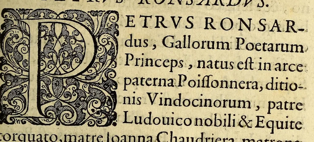 An illustration from Icones quinquaginta virorum illustrium doctrina & eruditione præstantium ad vivum effictæ, : cum eorum vitis, 1597, leaf 405