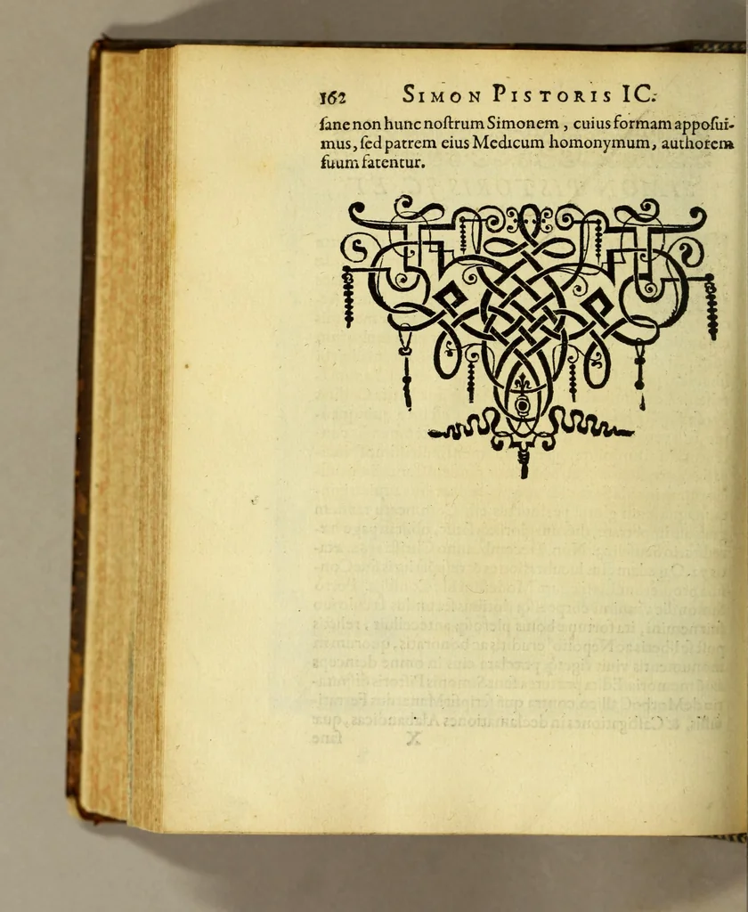 An illustration from Icones quinquaginta virorum illustrium doctrina & eruditione præstantium ad vivum effictæ, : cum eorum vitis, 1597, leaf 462