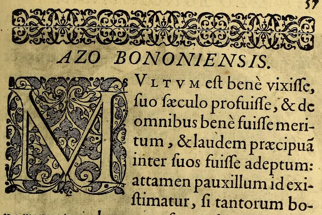 An illustration from Icones quinquaginta virorum illustrium doctrina & eruditione præstantium ad vivum effictæ, : cum eorum vitis, 1597, leaf 61