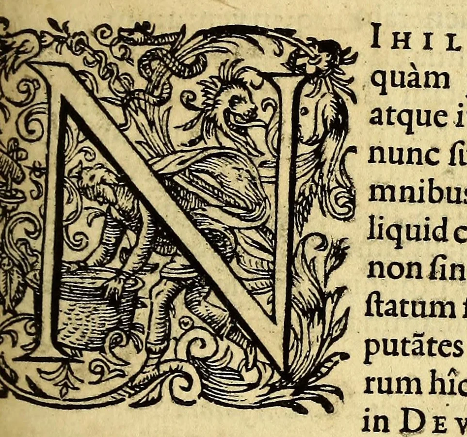 An illustration from Icones quinquaginta virorum illustrium doctrina & eruditione præstantium ad vivum effictæ, : cum eorum vitis, 1597, leaf 351