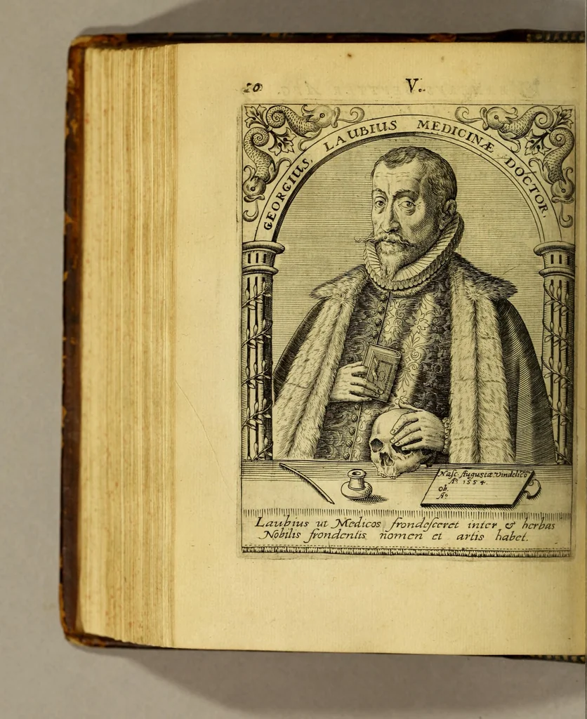 An illustration from Icones quinquaginta virorum illustrium doctrina & eruditione præstantium ad vivum effictæ, : cum eorum vitis, 1597, leaf 376