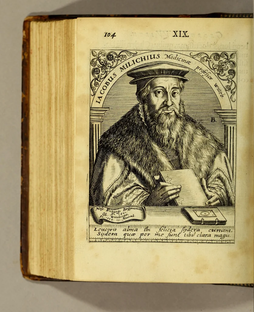 An illustration from Icones quinquaginta virorum illustrium doctrina & eruditione præstantium ad vivum effictæ, : cum eorum vitis, 1597, leaf 460