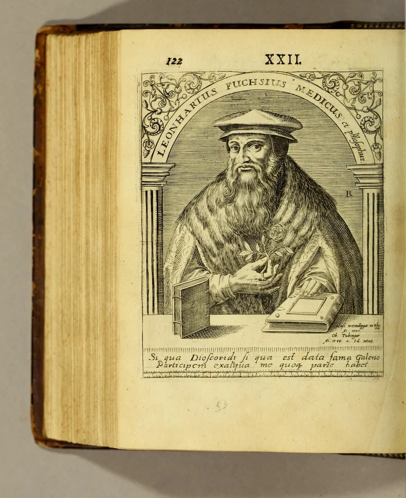An illustration from Icones quinquaginta virorum illustrium doctrina & eruditione præstantium ad vivum effictæ, : cum eorum vitis, 1597, leaf 478