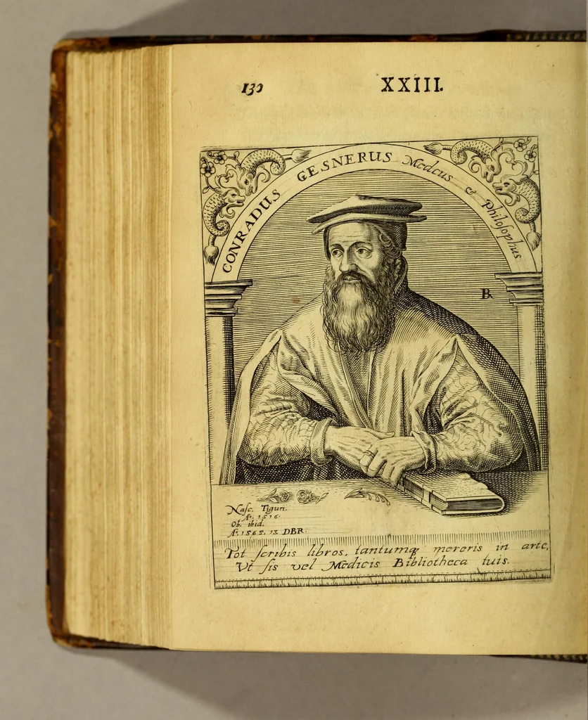 An illustration from Icones quinquaginta virorum illustrium doctrina & eruditione præstantium ad vivum effictæ, : cum eorum vitis, 1597, leaf 486