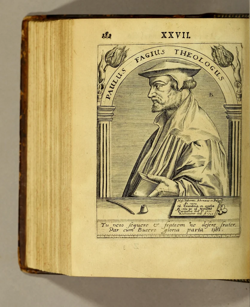 An illustration from Icones quinquaginta virorum illustrium doctrina & eruditione præstantium ad vivum effictæ, : cum eorum vitis, 1597, leaf 538