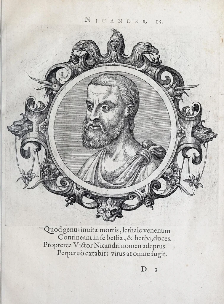 An illustration from Icones veterum aliquot, ac recentium medicorum, philosophorumque elegiolis suis editae, 1574, leaf 39
