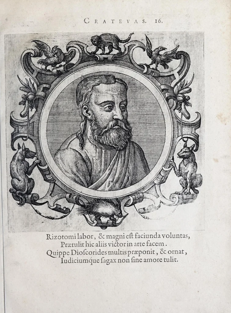 An illustration from Icones veterum aliquot, ac recentium medicorum, philosophorumque elegiolis suis editae, 1574, leaf 41