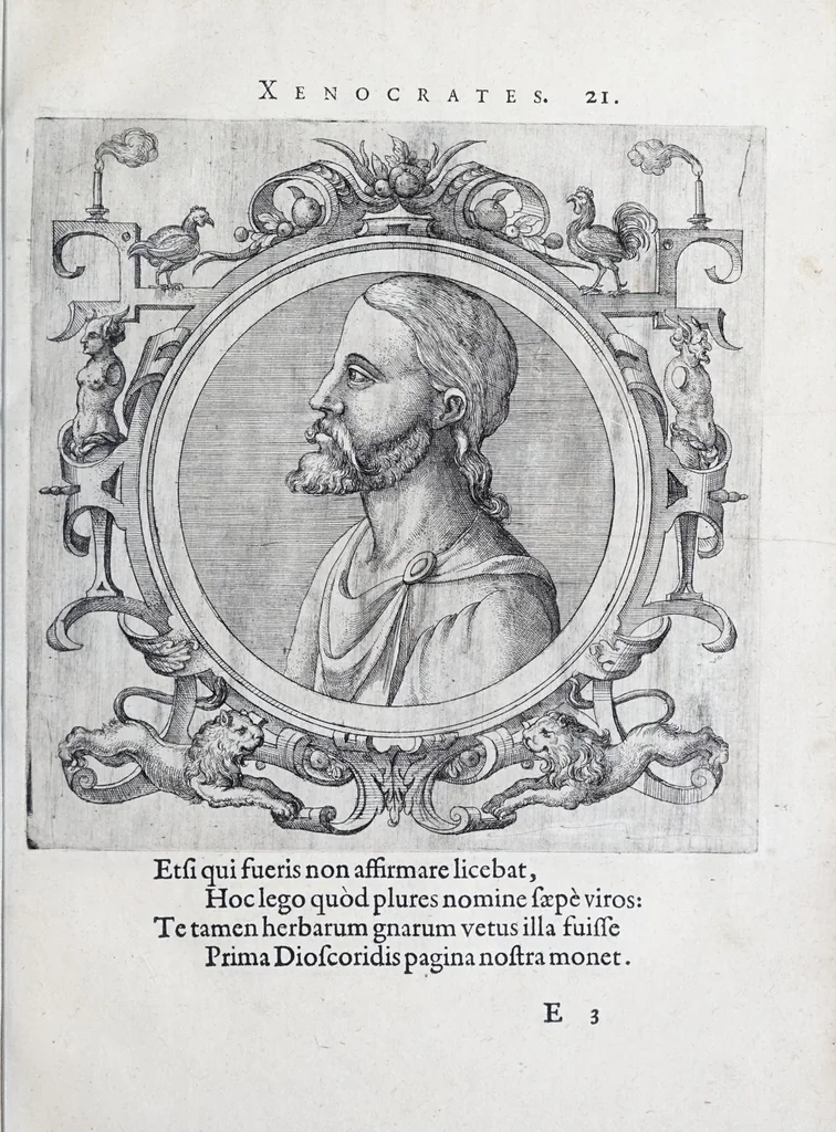 An illustration from Icones veterum aliquot, ac recentium medicorum, philosophorumque elegiolis suis editae, 1574, leaf 51