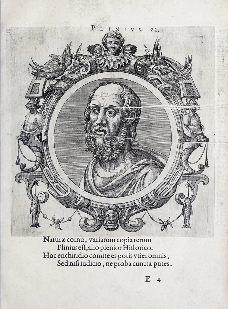 An illustration from Icones veterum aliquot, ac recentium medicorum, philosophorumque elegiolis suis editae, 1574, leaf 53