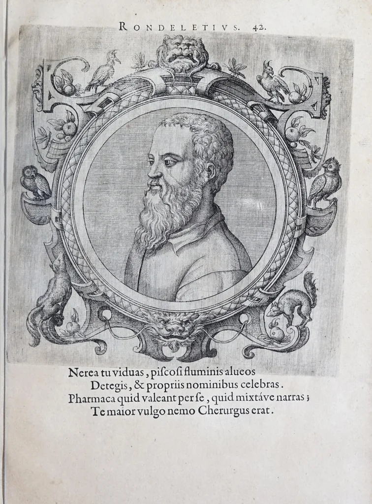 An illustration from Icones veterum aliquot, ac recentium medicorum, philosophorumque elegiolis suis editae, 1574, leaf 93