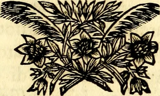 An illustration from Iconografia, cioè disegni d'imagini de famosissimi monarchi, regi, filosofi, poeti ed oratori dell'antichità, cauati, 1669, leaf 12