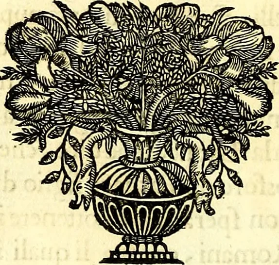 An illustration from Iconografia, cioè disegni d'imagini de famosissimi monarchi, regi, filosofi, poeti ed oratori dell'antichità, cauati, 1669, leaf 143