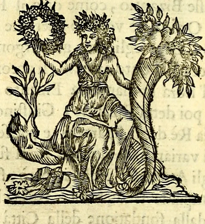 An illustration from Iconografia, cioè disegni d'imagini de famosissimi monarchi, regi, filosofi, poeti ed oratori dell'antichità, cauati, 1669, leaf 179