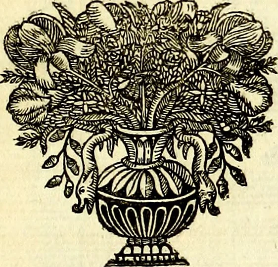 An illustration from Iconografia, cioè disegni d'imagini de famosissimi monarchi, regi, filosofi, poeti ed oratori dell'antichità, cauati, 1669, leaf 244