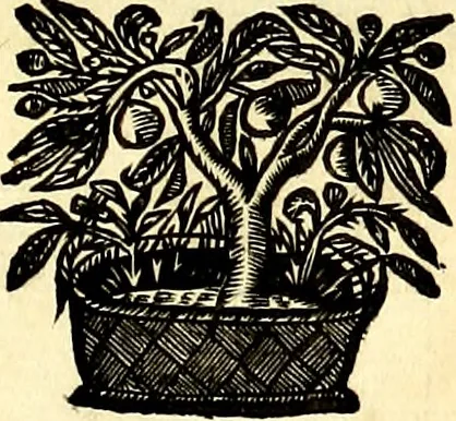 An illustration from Iconografia, cioè disegni d'imagini de famosissimi monarchi, regi, filosofi, poeti ed oratori dell'antichità, cauati, 1669, leaf 294