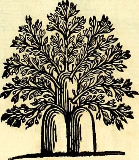 An illustration from Iconografia, cioè disegni d'imagini de famosissimi monarchi, regi, filosofi, poeti ed oratori dell'antichità, cauati, 1669, leaf 314