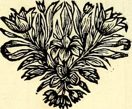 An illustration from Iconografia, cioè disegni d'imagini de famosissimi monarchi, regi, filosofi, poeti ed oratori dell'antichità, cauati, 1669, leaf 350