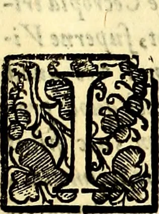 An illustration from Iconografia, cioè disegni d'imagini de famosissimi monarchi, regi, filosofi, poeti ed oratori dell'antichità, cauati, 1669, leaf 366