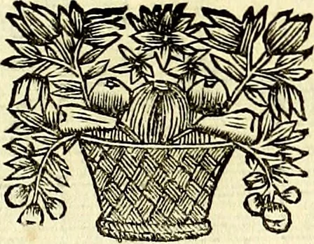 An illustration from Iconografia, cioè disegni d'imagini de famosissimi monarchi, regi, filosofi, poeti ed oratori dell'antichità, cauati, 1669, leaf 378