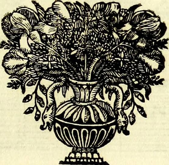 An illustration from Iconografia, cioè disegni d'imagini de famosissimi monarchi, regi, filosofi, poeti ed oratori dell'antichità, cauati, 1669, leaf 390
