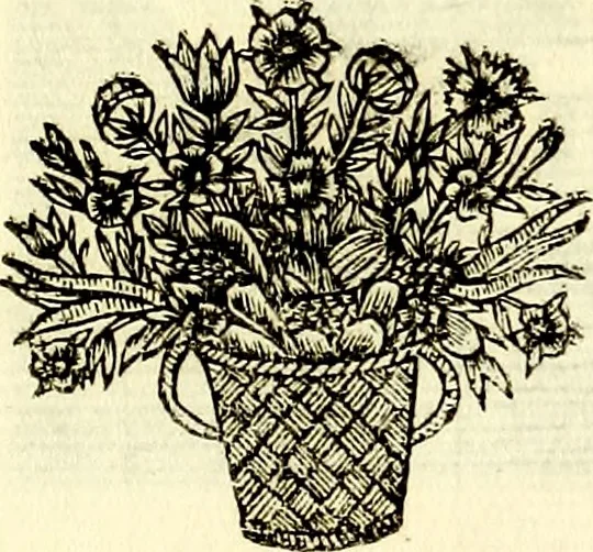 An illustration from Iconografia, cioè disegni d'imagini de famosissimi monarchi, regi, filosofi, poeti ed oratori dell'antichità, cauati, 1669, leaf 394