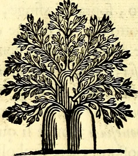 An illustration from Iconografia, cioè disegni d'imagini de famosissimi monarchi, regi, filosofi, poeti ed oratori dell'antichità, cauati, 1669, leaf 415