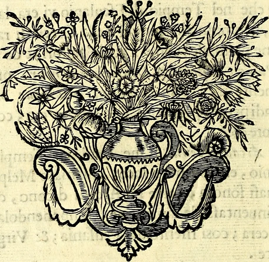 An illustration from Iconografia, cioè disegni d'imagini de famosissimi monarchi, regi, filosofi, poeti ed oratori dell'antichità, cauati, 1669, leaf 457