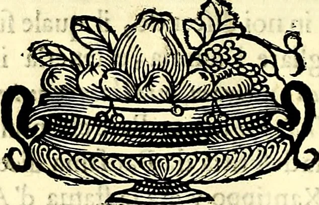 An illustration from Iconografia, cioè disegni d'imagini de famosissimi monarchi, regi, filosofi, poeti ed oratori dell'antichità, cauati, 1669, leaf 49