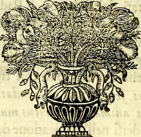 An illustration from Iconografia, cioè disegni d'imagini de famosissimi monarchi, regi, filosofi, poeti ed oratori dell'antichità, cauati, 1669, leaf 89