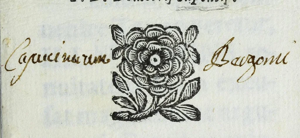 An illustration from Iconographia visibilis gloriae, seu, Brevis descriptio picturae qua, in templo S. Alexandri Mediolani, riusdem martyris, & ss. omnium, gloria expressa est à cler. reg. Barnabitis extemporale opusculum, 1701, leaf 5