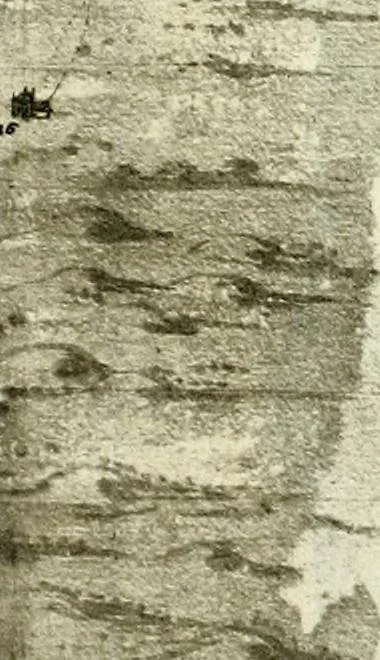 An illustration from The iconography of Manhattan Island, 1498-1909 : compiled from original sources and illustrated by photo-intaglio reproductions of important maps, plans, views, and documents in public and private collections, 1915, leaf 468